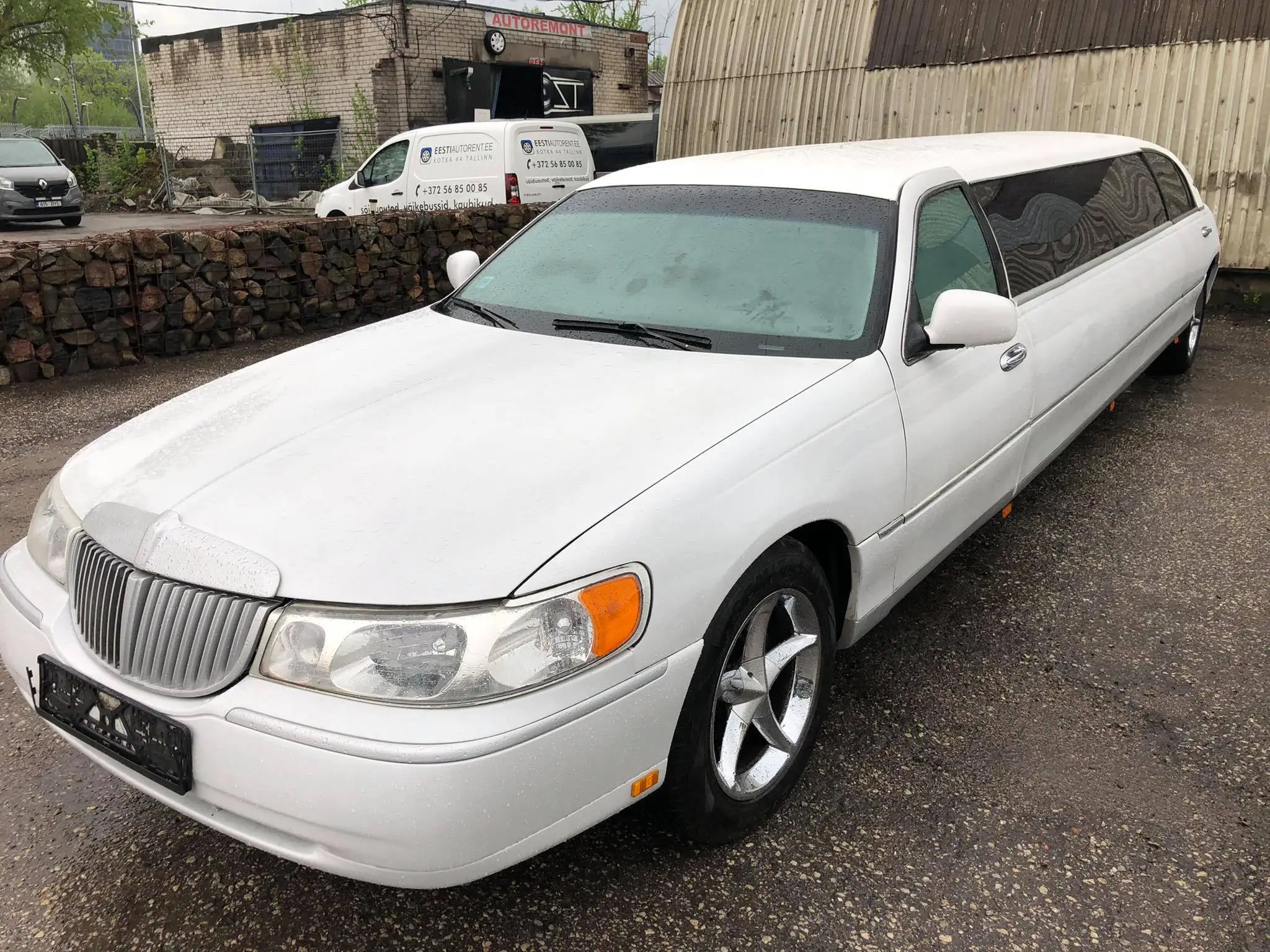 valge lincoln