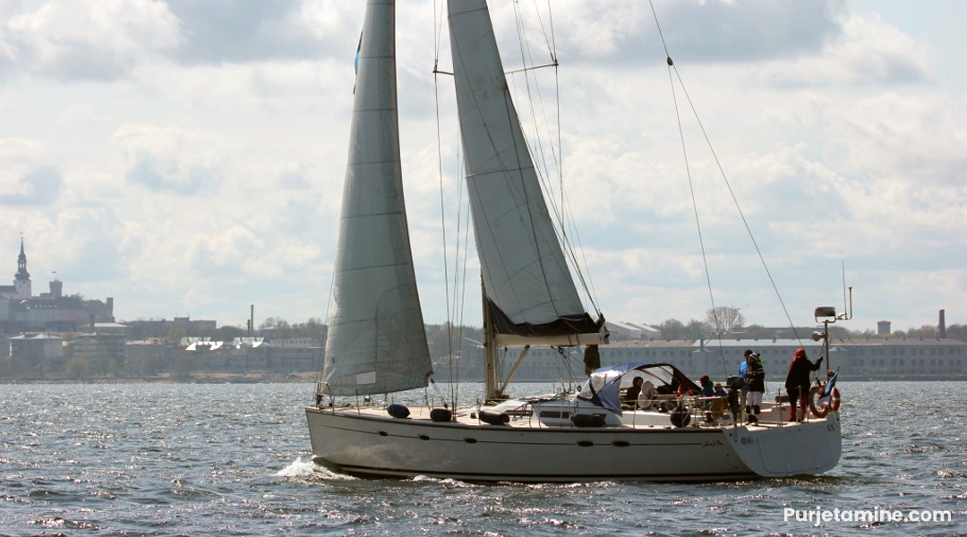 Hanse 531 Aurelia 4